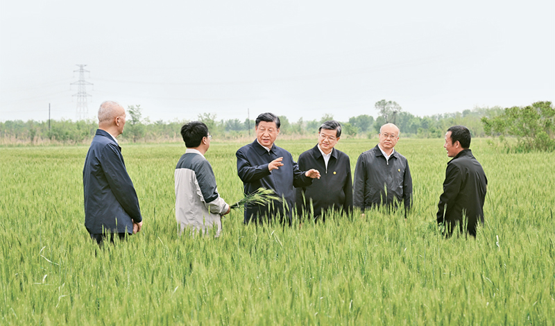 2023年5月11日至12日，中共中央總書記、國家主席、中央軍委主席習(xí)近平在河北考察，并主持召開深入推進京津冀協(xié)同發(fā)展座談會。這是11日上午，習(xí)近平在滄州市黃驊市舊城鎮(zhèn)仙莊片區(qū)旱堿地麥田考察時，同種植戶、農(nóng)技專家親切交流。 新華社記者 李學(xué)仁/攝